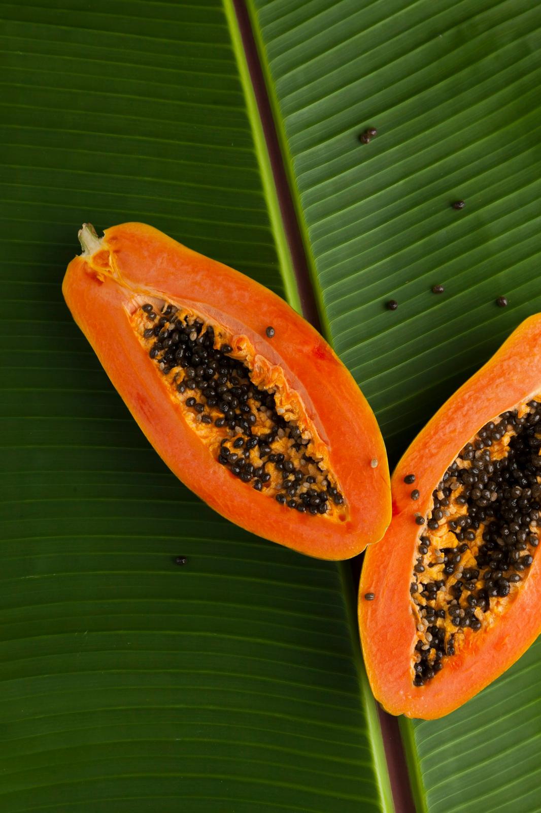Papaya cultivada en Tenerife